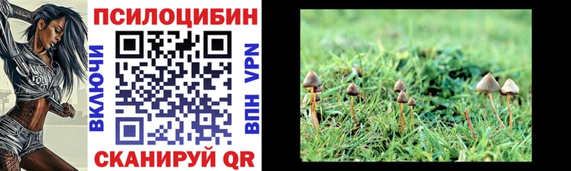 Псилоцибиновые грибы прущие грибы  мега маркетплейс  Грозный  магазин  наркотиков 